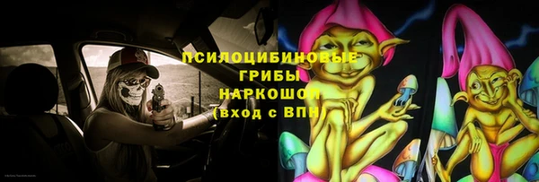 сатива Богородск