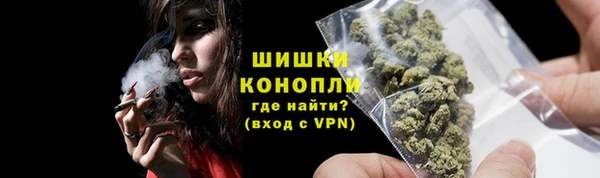 мдпв Богородицк