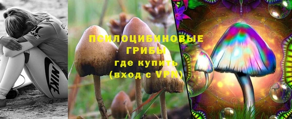 гидропоника Бронницы