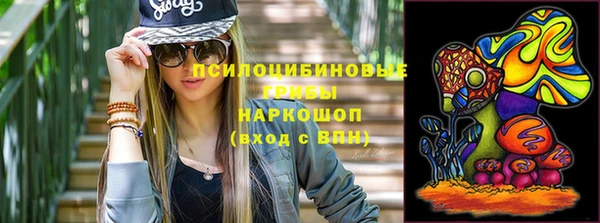 Альфа ПВП Каменка