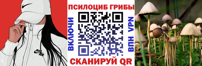 Псилоцибиновые грибы мицелий  Губаха 